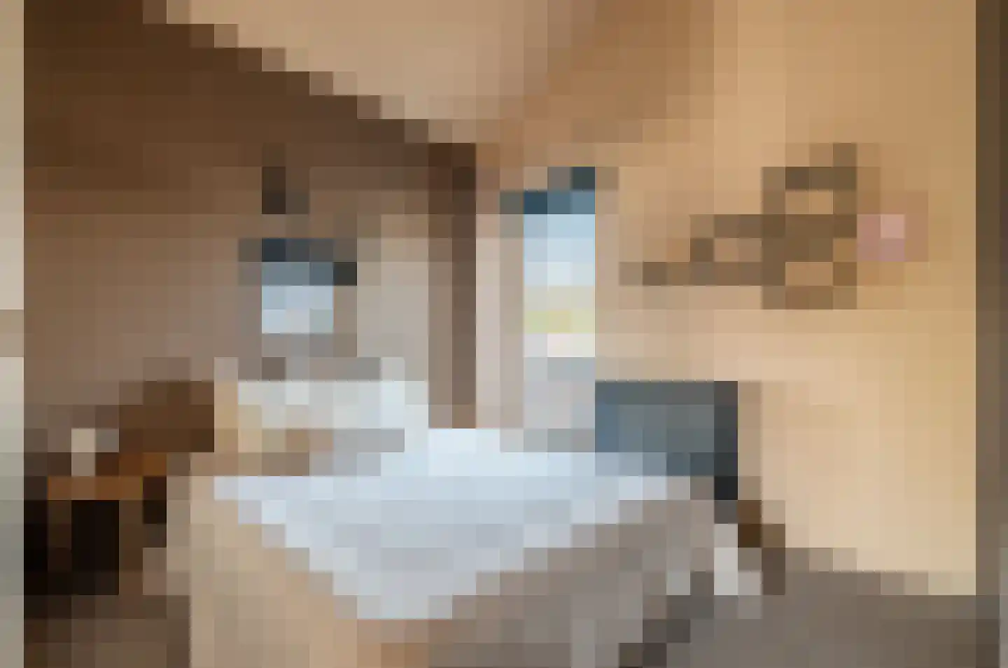 Vinkenkade 77 R 42 Vinkeveen thumbnail 20