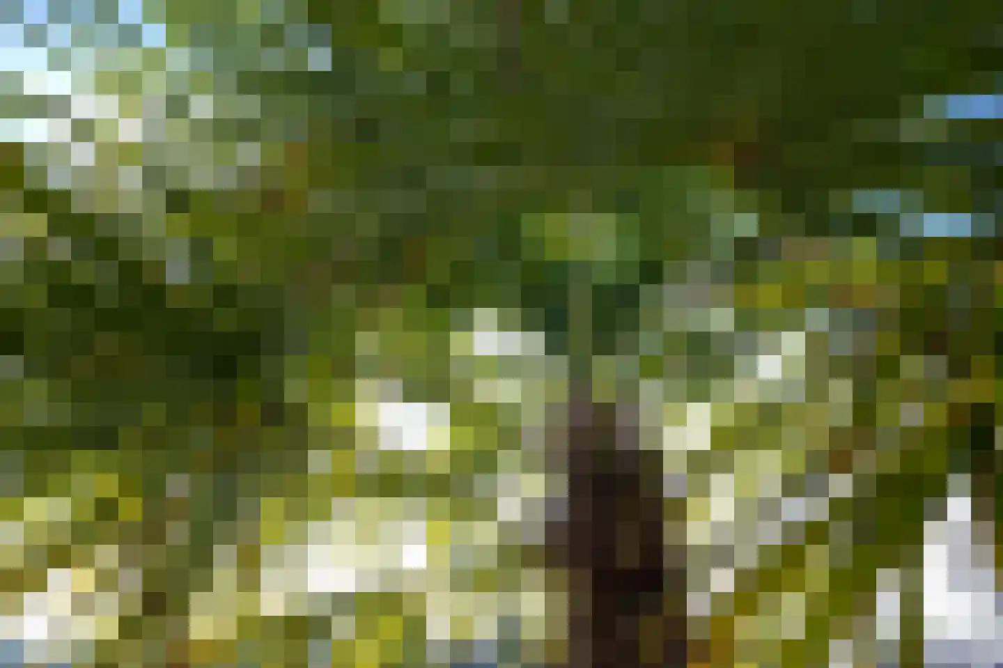 Vinkenkade 77 R 66 Vinkeveen thumbnail 19