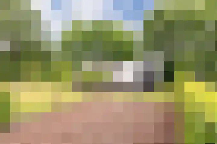 Vinkenkamp 10 V3 en Lieren