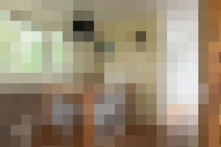 Vinkenkamp 10 V3 Lieren thumbnail 11