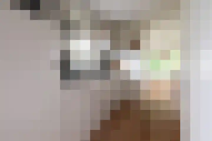 Vinkenkamp 10 V3 Lieren thumbnail 15