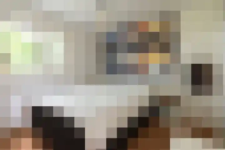 Vinkenkamp 10 V3 Lieren thumbnail 17