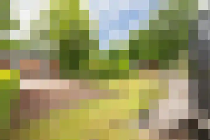 Vinkenkamp 10 V3 Lieren thumbnail 20