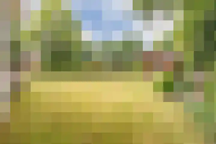 Vinkenkamp 10 V3 Lieren thumbnail 21