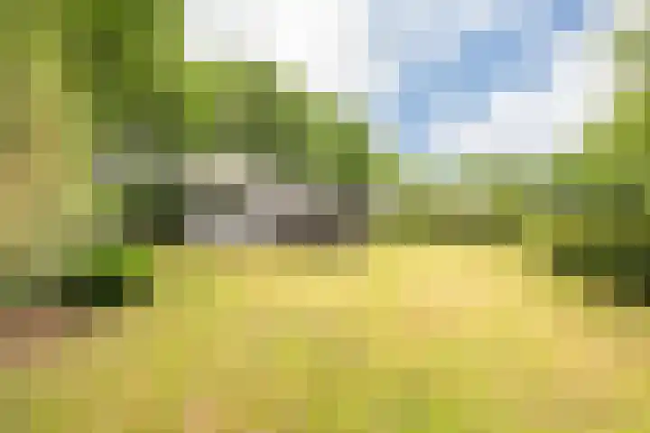 Vinkenkamp 10 V3 Lieren thumbnail 22