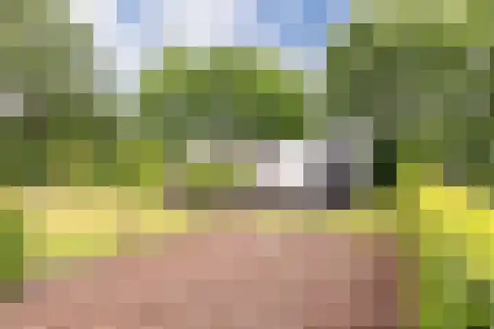 Vinkenkamp 10 V3 Lieren thumbnail 23