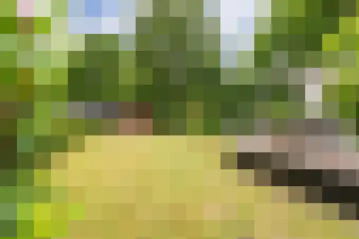 Vinkenkamp 10 V3 Lieren thumbnail 4