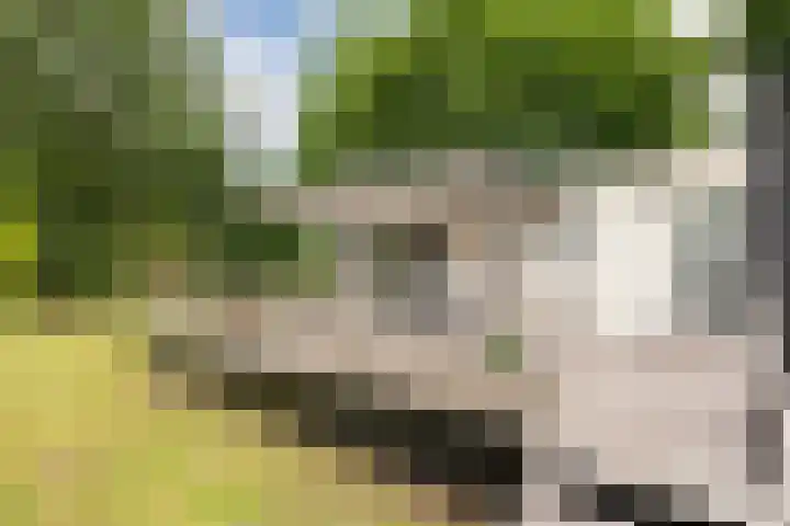 Vinkenkamp 10 V3 Lieren thumbnail 5