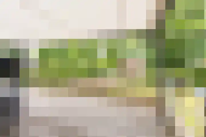 Vinkenkamp 10 V3 Lieren thumbnail 6