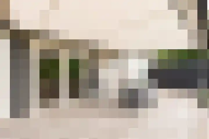 Vinkenkamp 10 V3 Lieren thumbnail 8