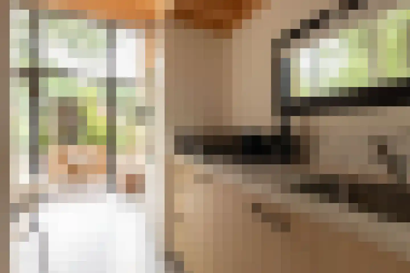 Vinkenkamp 10 Z41 Lieren thumbnail 10