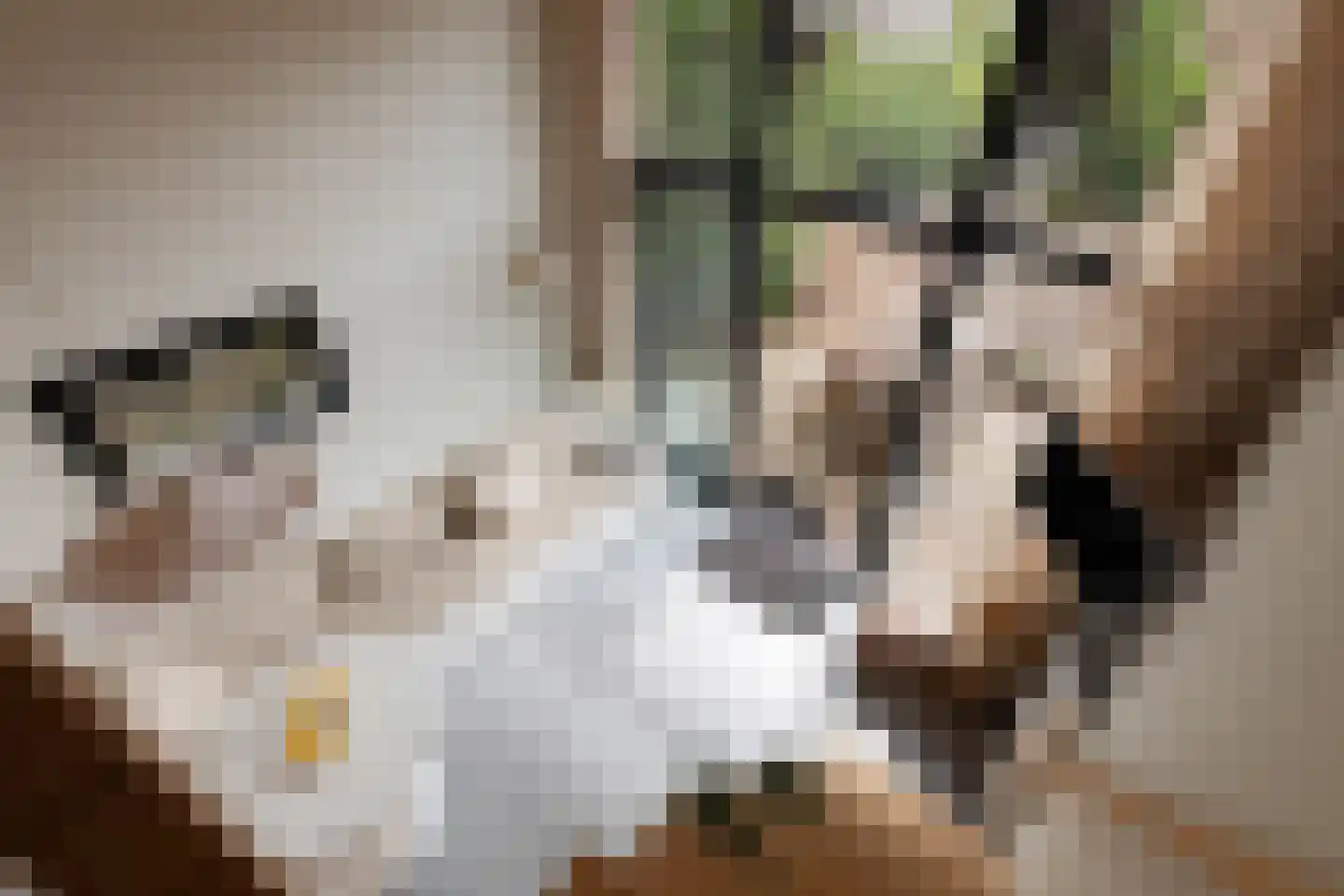 Vinkenkamp 10 Z41 Lieren thumbnail 17
