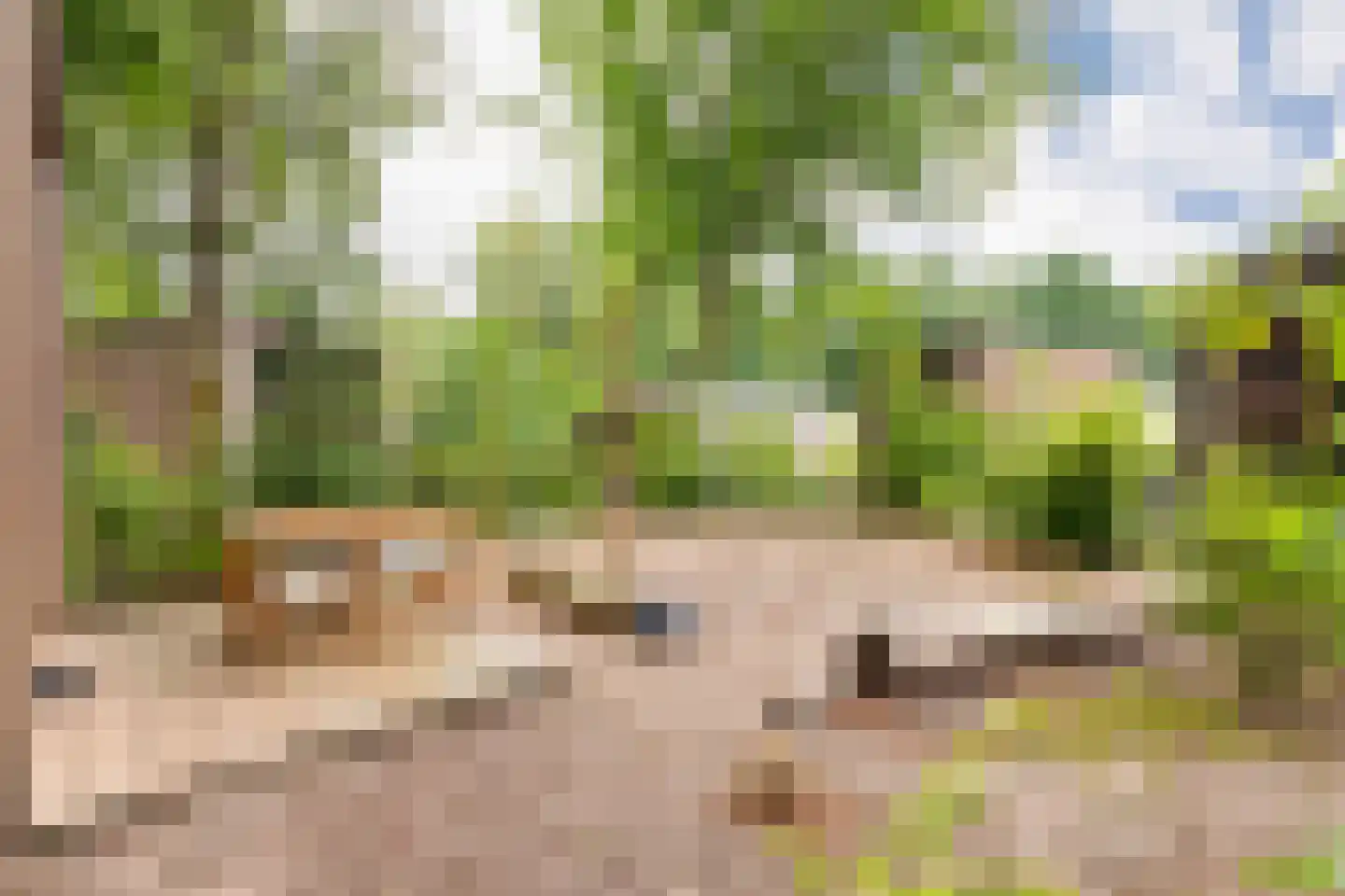 Vinkenkamp 10 Z41 Lieren thumbnail 5