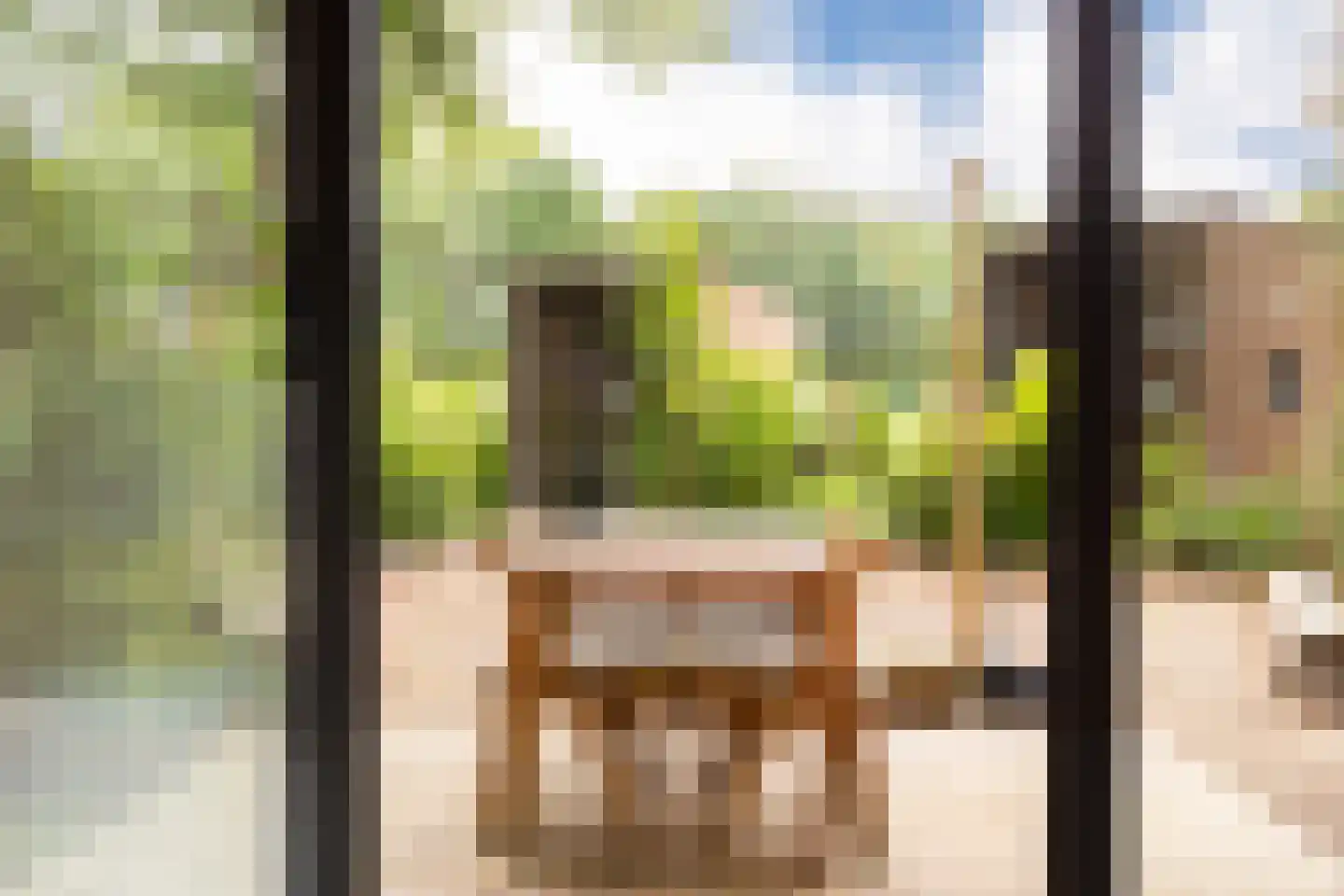 Vinkenkamp 10 Z41 Lieren thumbnail 6