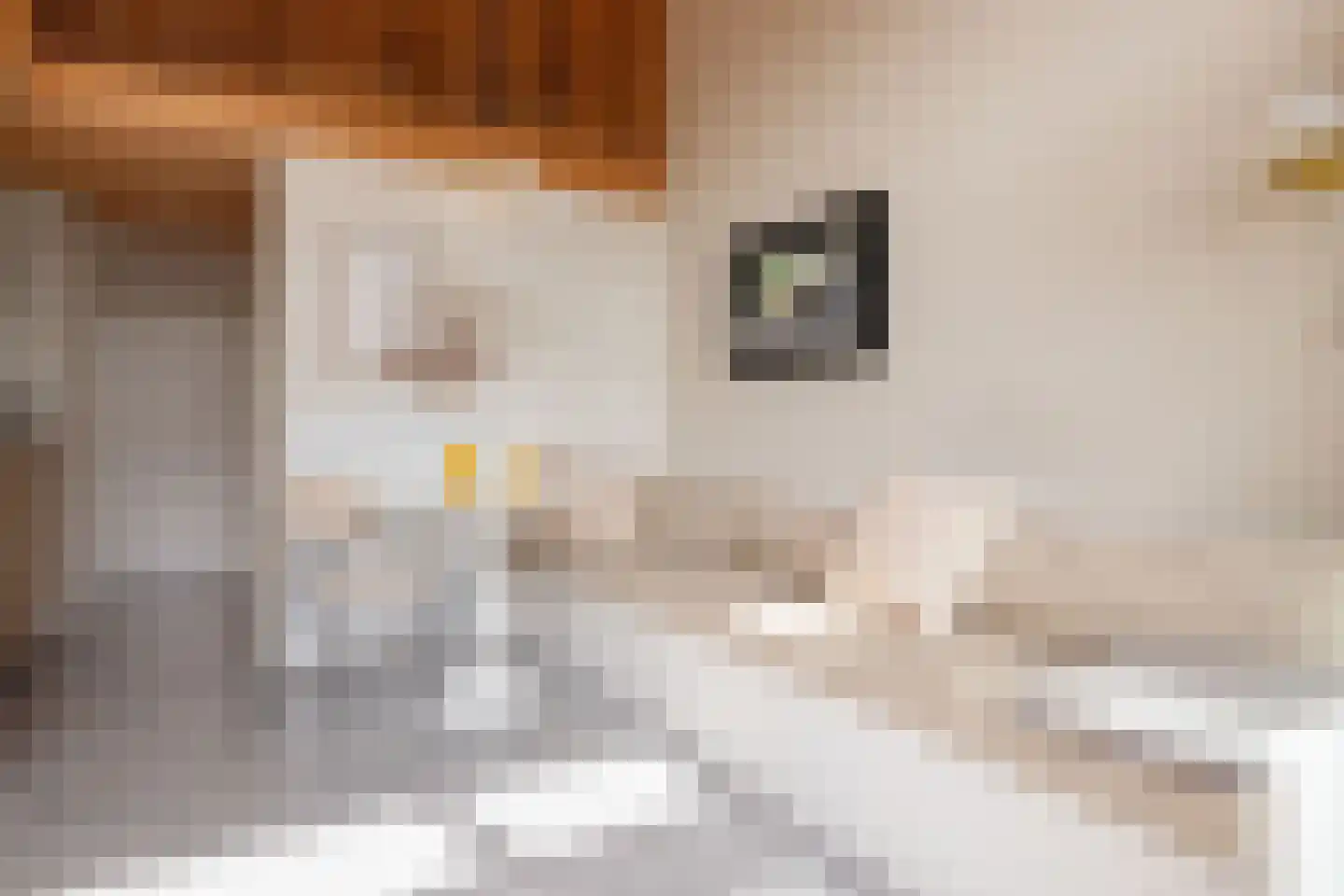 Vinkenkamp 10 Z41 Lieren thumbnail 8