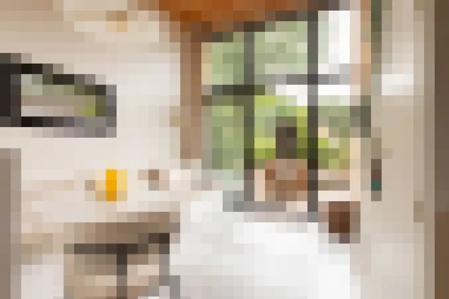 Vinkenkamp 10 Z41 Lieren thumbnail 9