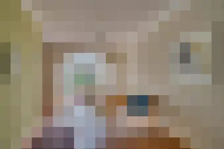 Vinkenkamp 5 Wellerlooi thumbnail 12