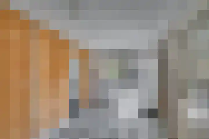 Vinkenkamp 5 Wellerlooi thumbnail 22