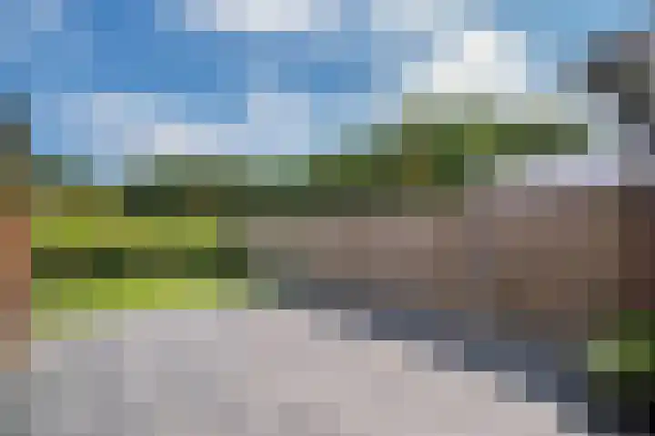Vinkenkamp 5 Wellerlooi thumbnail 41