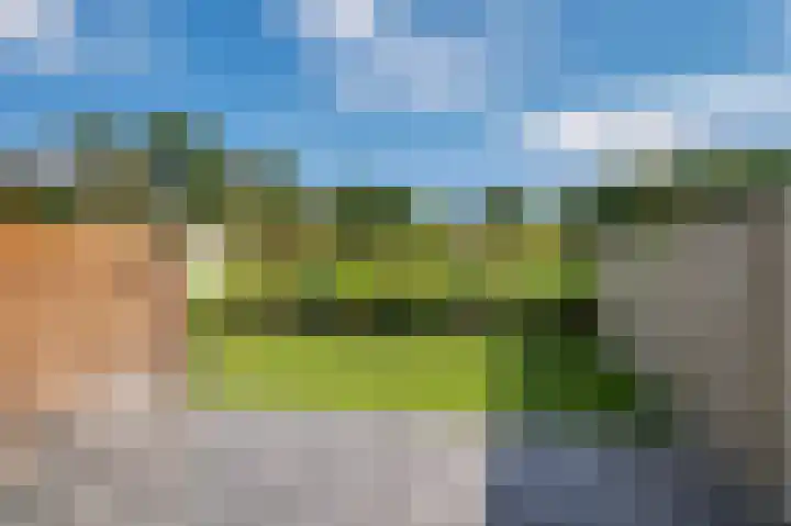 Vinkenkamp 5 Wellerlooi thumbnail 43