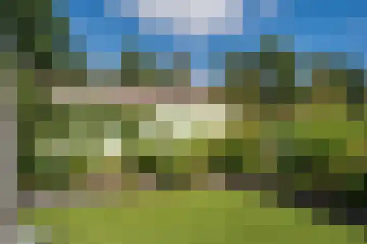 Vinkenkamp 5 Wellerlooi thumbnail 44