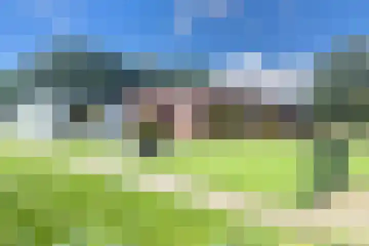 Vinkenkamp 5 Wellerlooi thumbnail 52
