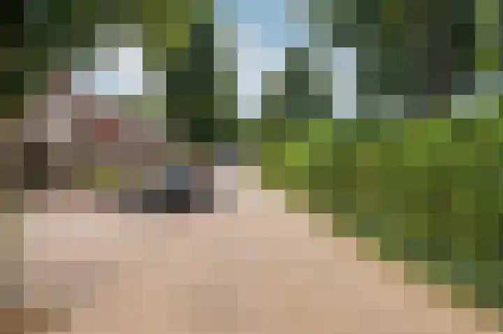 Vinkenkamp 5 Wellerlooi thumbnail 6
