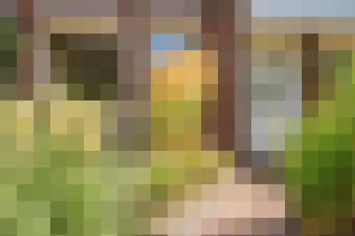 Vinkenkamp 5 Wellerlooi thumbnail 8