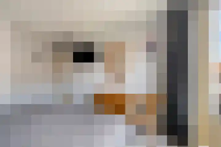 Vinkenkrogtlaan 13 Velsen-Noord thumbnail 14