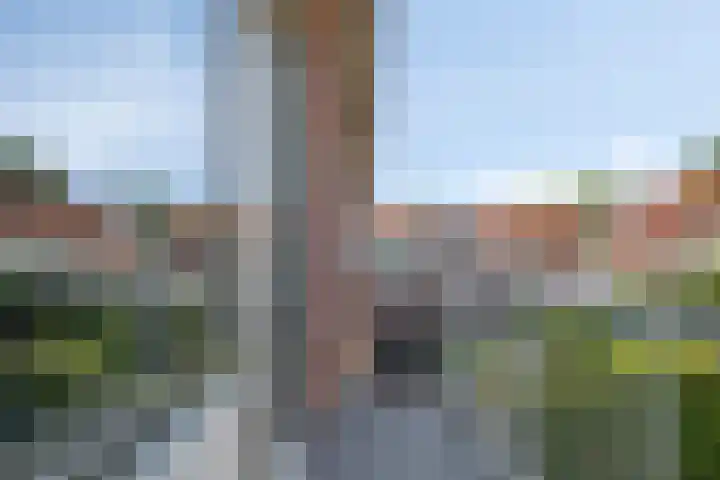 Vinkenkrogtlaan 13 Velsen-Noord thumbnail 15