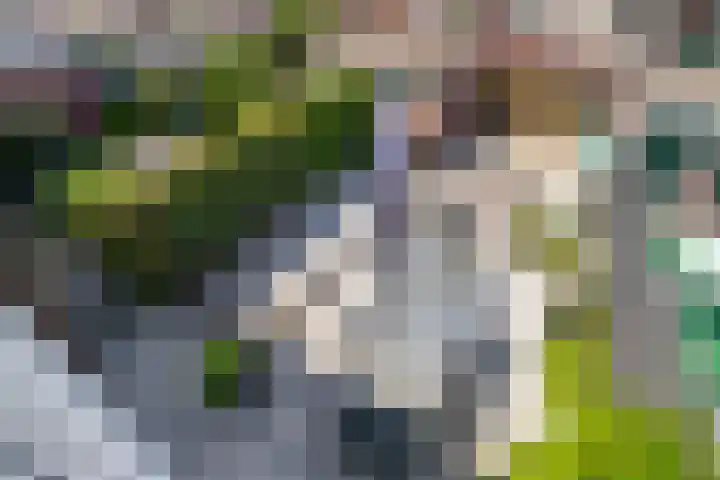 Vinkenkrogtlaan 13 Velsen-Noord thumbnail 6