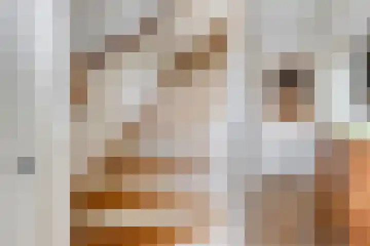 Vinkenkrogtlaan 13 Velsen-Noord thumbnail 7