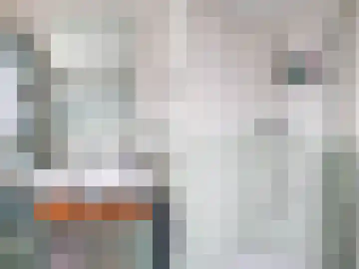 Vinkenkrogtlaan 18 Velsen-Noord thumbnail 19