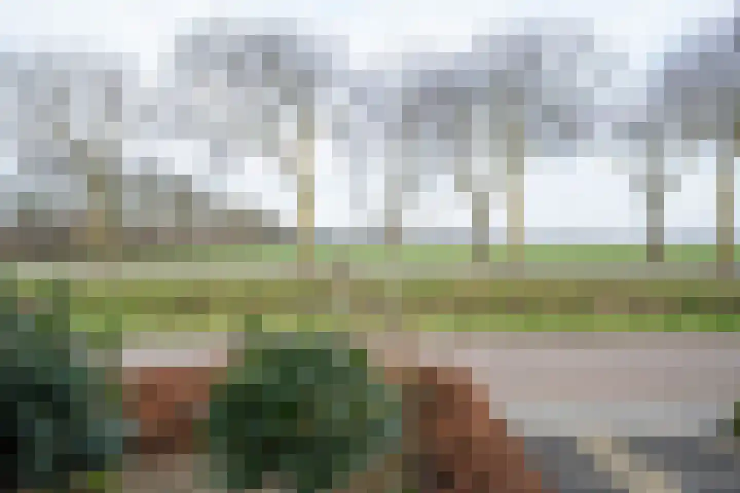 Vinkenlaan 10 Vuren foto 2
