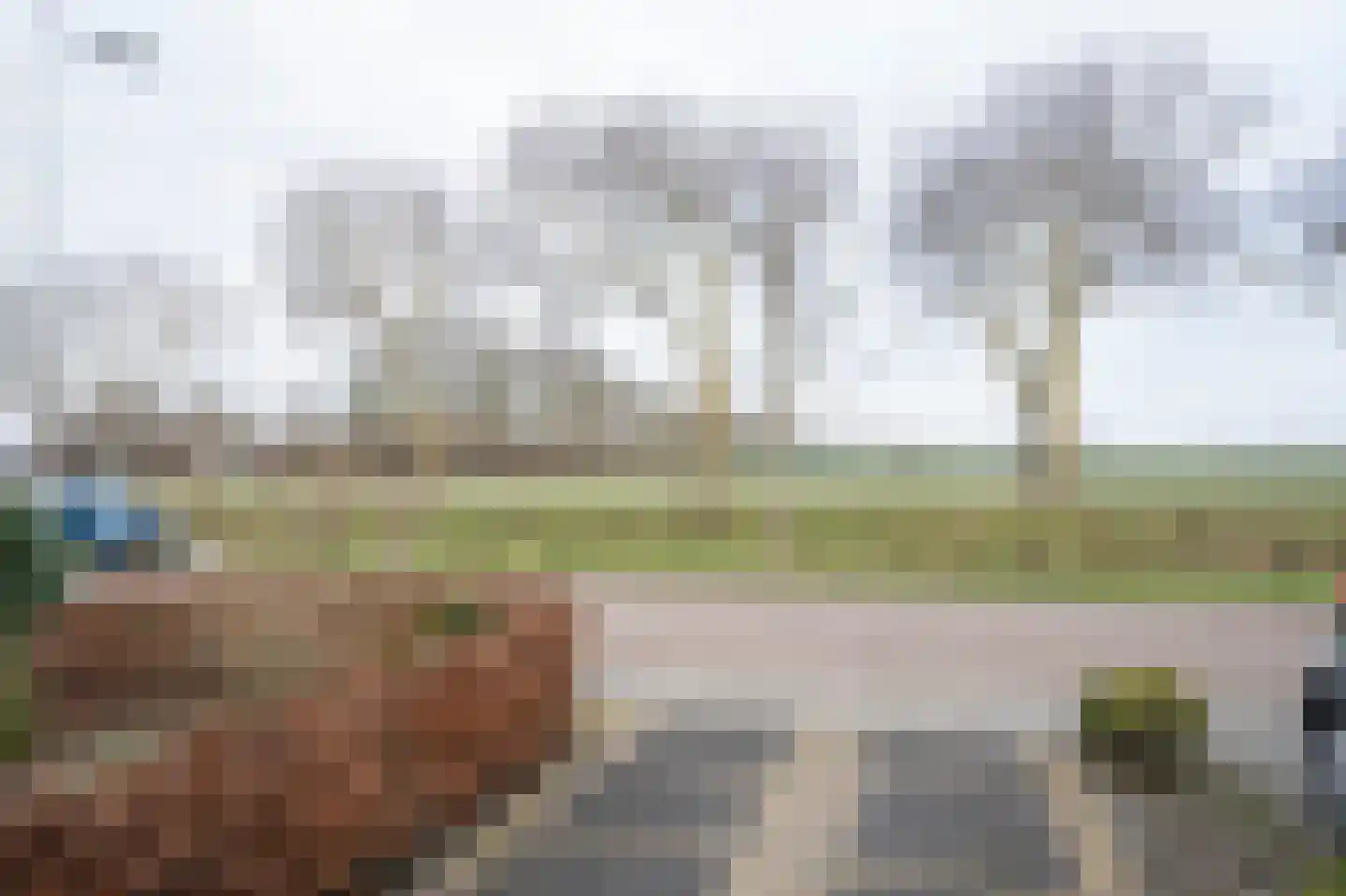Vinkenlaan 10 Vuren thumbnail 31