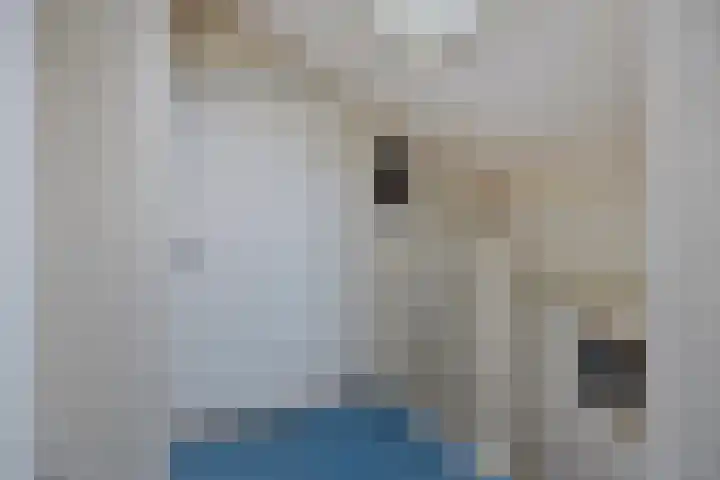 Vinkenlaan 133 Delft thumbnail 14