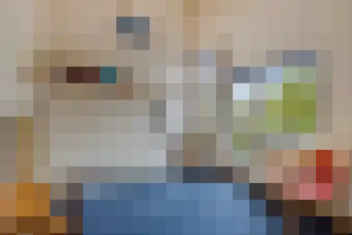 Vinkenlaan 133 Delft thumbnail 15