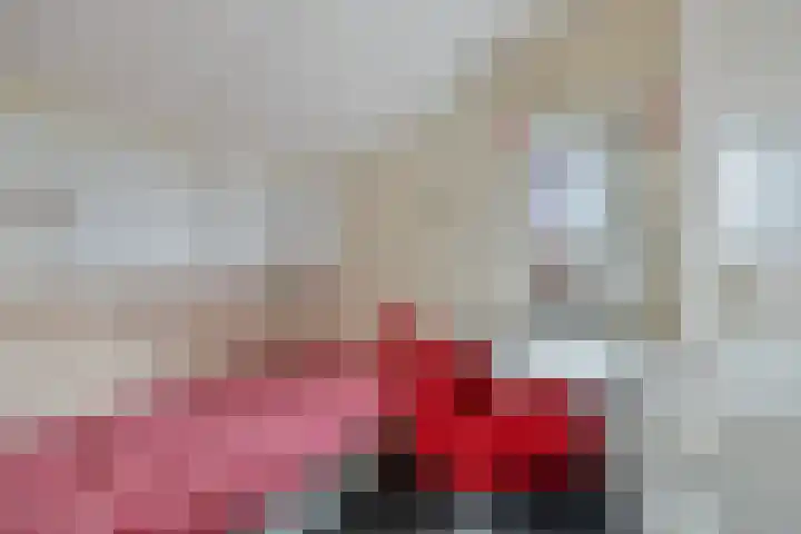 Vinkenlaan 133 Delft thumbnail 17