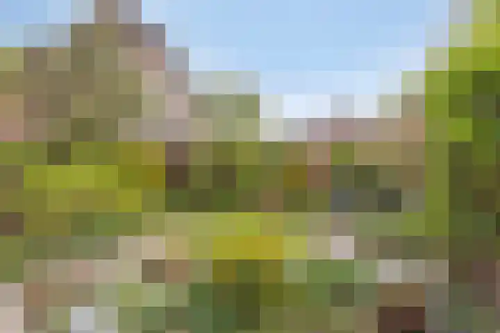 Vinkenlaan 133 Delft thumbnail 22