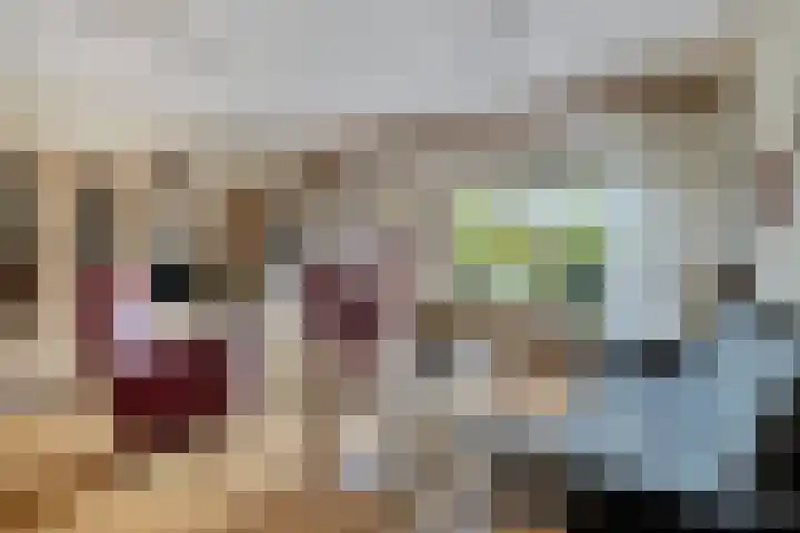 Vinkenlaan 133 Delft thumbnail 6