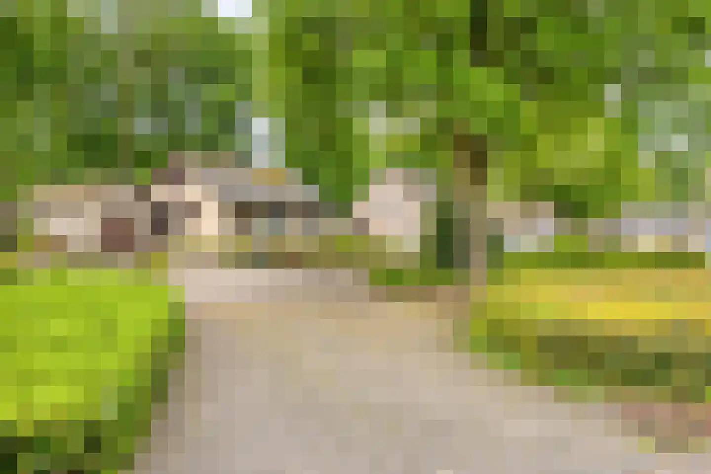 Vinkenlaan 22 Boekel thumbnail 31