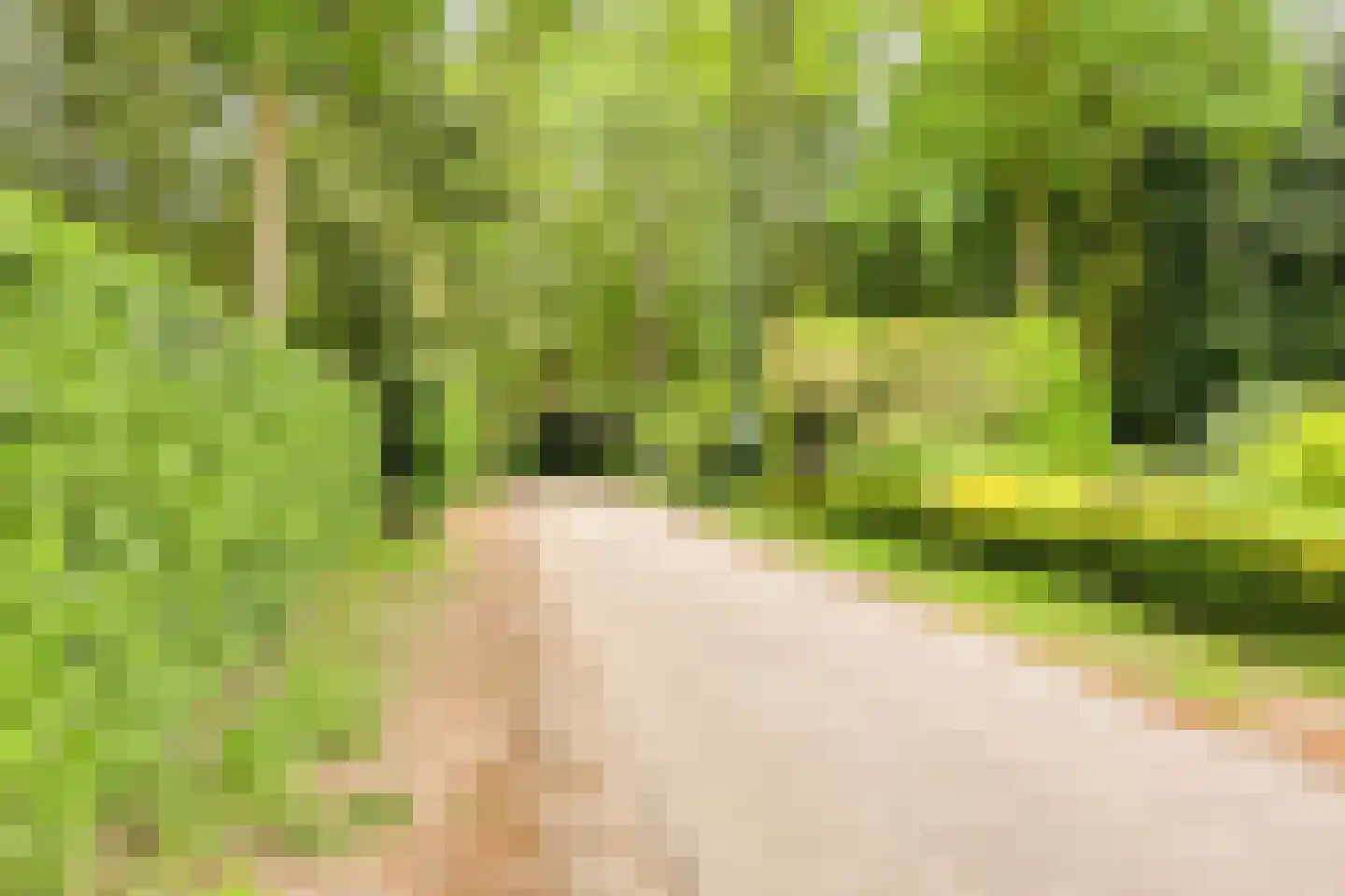 Vinkenlaan 22 Boekel thumbnail 32