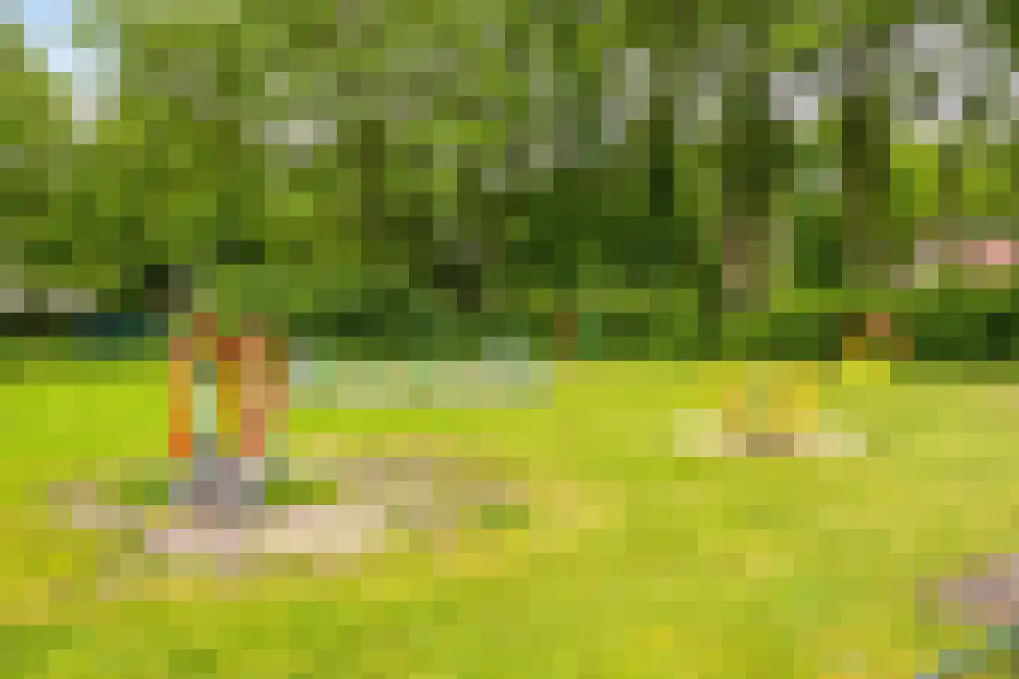 Vinkenlaan 22 Boekel thumbnail 33