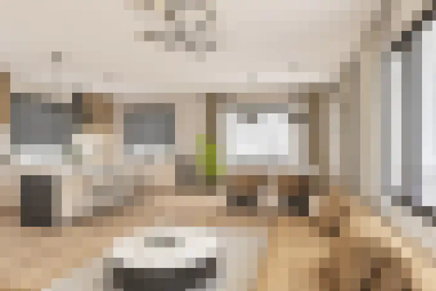 Vinkenlaan 22 Boekel thumbnail 9