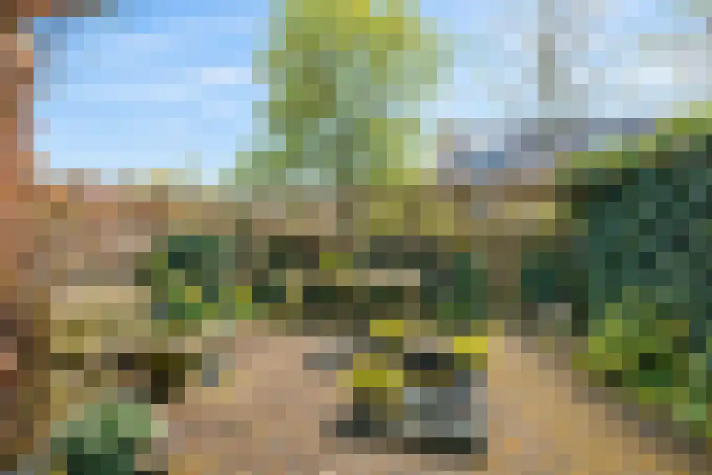Vinkenlaan 25 Noordwijk thumbnail 13
