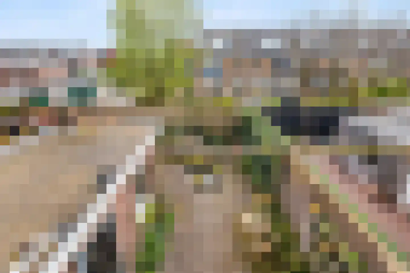 Vinkenlaan 25 Noordwijk thumbnail 21