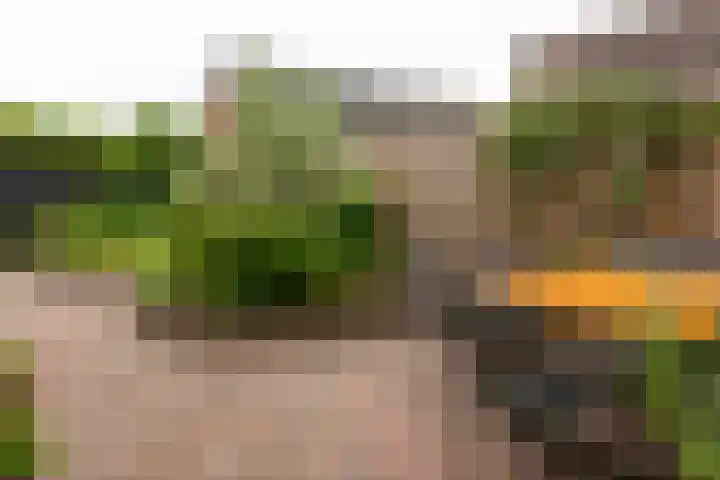 Vinkenlaan 29 Dieren thumbnail 19