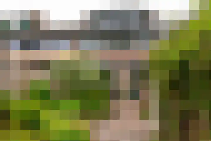 Vinkenlaan 29 Dieren thumbnail 23