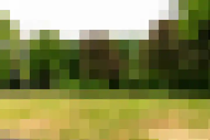 Vinkenlaan 29 Dieren thumbnail 24