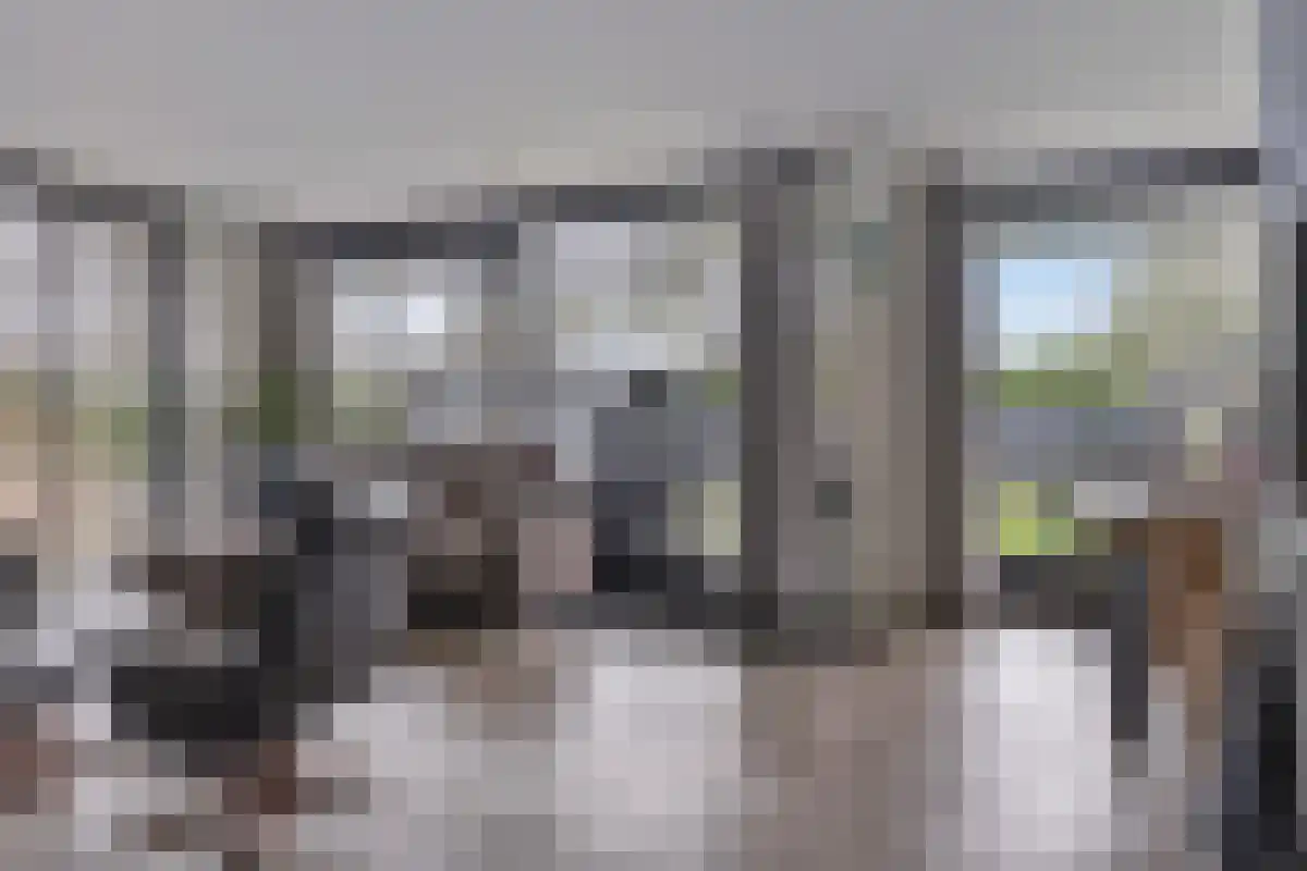 Vinkenlaan 4 Kamperland thumbnail 10